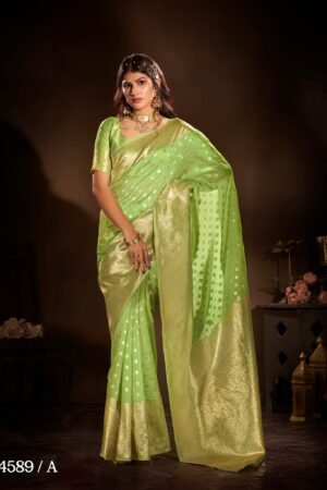 Graceful Saree Attire