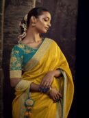 Modern Elegance Saree