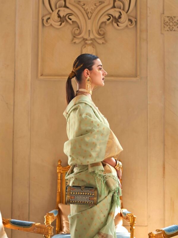 Celestial Aura Kyaari Tissue Saree - Image 9