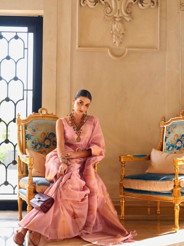Celestial Aura Kyaari Tissue Saree - Image 4
