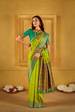 Chandrakor Drapes