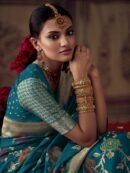 Saree Stories Unfolded