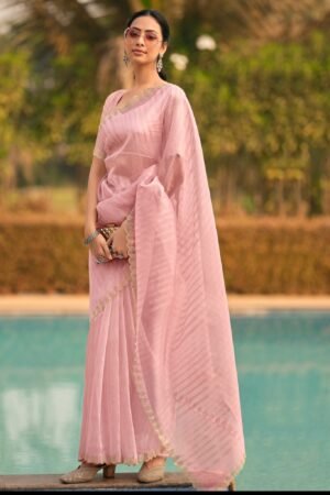 Layered Organza  Silk Saree