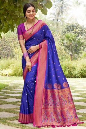 A Glimpse of Royalty Paithani
